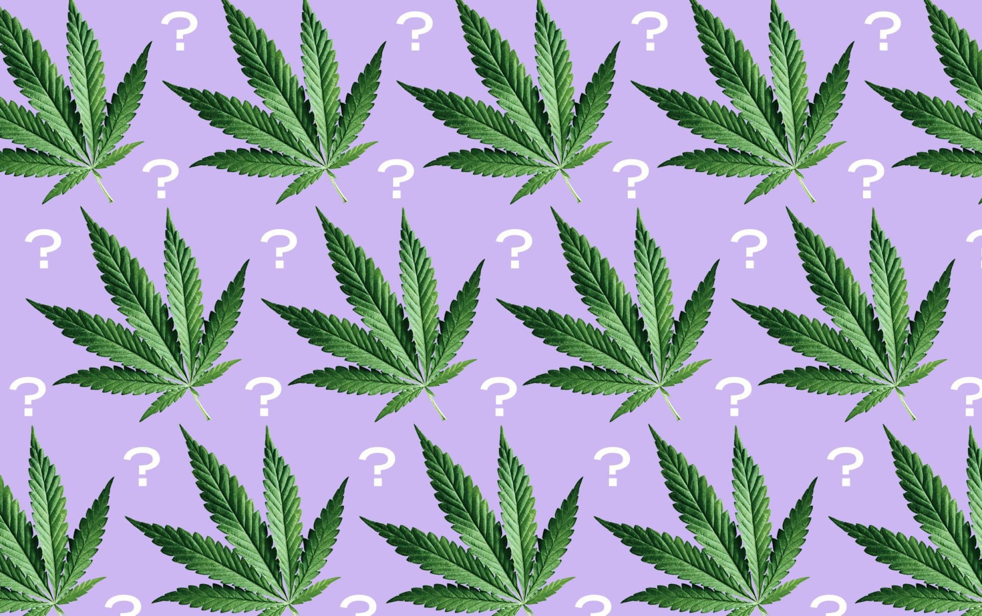 Einzigartige Kreuzungen erleben – Weed Samen kaufen für Sammler