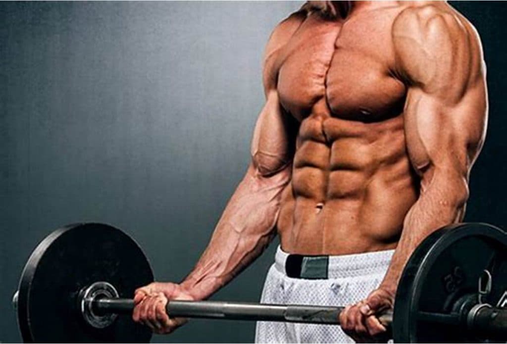 DMHA Booster: Der leistungsstarke Booster für maximale Energie im Training
