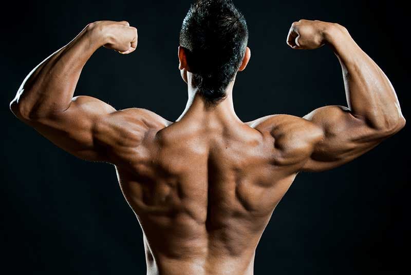 Black Annis kaufen: Leistungsstarker Fatburner bei Fatburnerking