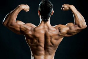 steroids-4-best-ones-to-get-big-quick